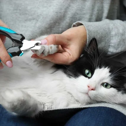 Cat Nails Clipper
