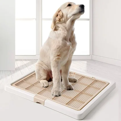 PawComfort Extra-Large Indoor Dog Potty Tray with Grid Mesh