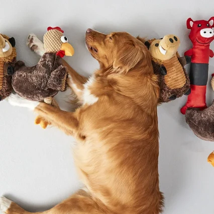 Dog Toy
