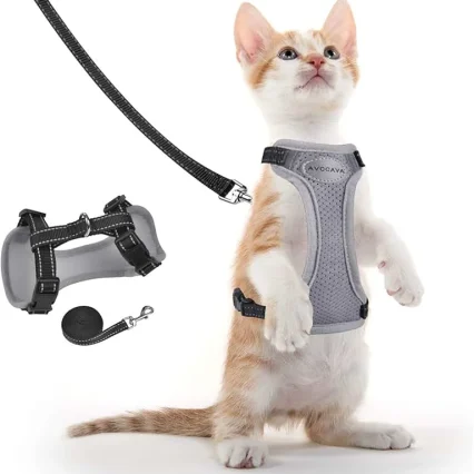 Cat Harness And Leash