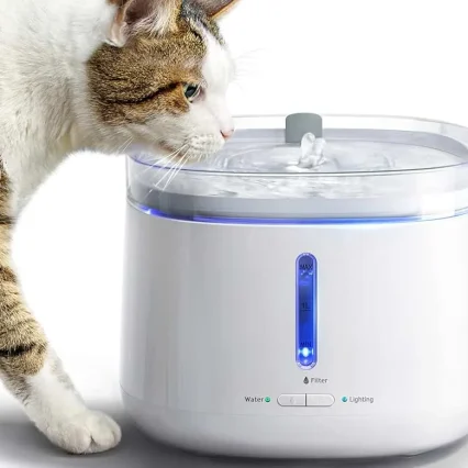 Cat Water Fountain