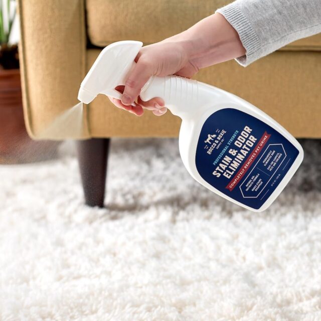 Rocco & Roxie Supply Co. Stain & Odor Eliminator for Strong Odor - Enzyme Pet Odor Eliminator for Home - Carpet Stain Remover for Cats & Dog Pee - Enzymatic Cat Urine Destroyer - Carpet Cleaner Spray - Image 2