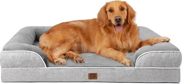 This deal is exclusively . Join Prime Cancel anytime Already a member? Sign in Ships from Amazon Sold by Emoh US Returns 30-day refund/replacement Payment Secure transaction See more Save with Used - Very Good $31.79 Delivery Tuesday, July 22 Ships from: Amazon Sold by: Emoh US Regular Price $45.99 Delivery Tuesday, July 22 Ships from: Amazon Sold by: Emoh US Add to List Other sellers on Amazon New & Used (22) from   $31.79 EHEYCIGA Orthopedic Dog Beds Large Sized Dog, Waterproof Memory Foam Pet Bed with Sides, Non-Slip Bottom Large Pet Bed with Washable Removable Cover, Grey Click to see full view      4+  7 VIDEOS EHEYCIGA Orthopedic Dog Beds Large Sized Dog, Waterproof Memory Foam Pet Bed with Sides, Non-Slip Bottom Large Pet Bed with Washable Removable Cover, Grey