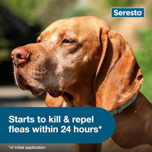 Seresto Large Dog Vet-Recommended Flea & Tick Treatment & Prevention Collar for Dogs Over 18 lbs. | 8 Months - Image 5