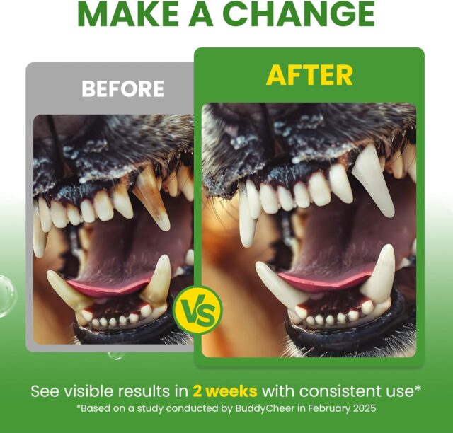 Dog Teeth Cleaning Powder, Dog Dental Powder and Cats Breath Freshener, Plaque Off Pet Tooth Cleaning lab co, Bad Breath & Tartar Remover for Dogs, Dog Teeth Cleaning with Enzymes- 60-Day Supply -Mint - Image 5