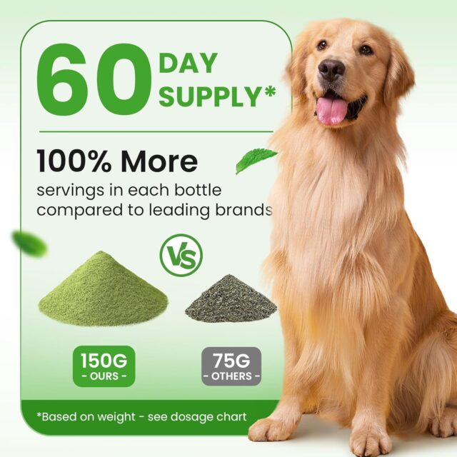 Dog Teeth Cleaning Powder, Dog Dental Powder and Cats Breath Freshener, Plaque Off Pet Tooth Cleaning lab co, Bad Breath & Tartar Remover for Dogs, Dog Teeth Cleaning with Enzymes- 60-Day Supply -Mint - Image 2
